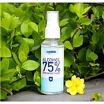 Spray désinfectant pour les mains désinfectant à l'alcool 60 ml
